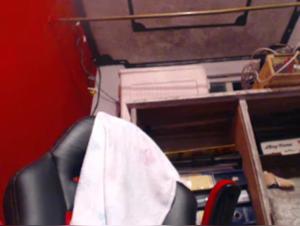 perro lactante live webcams