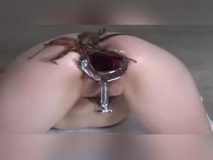 bestialzoo dogfucking