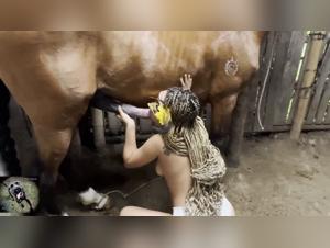 Denise's Forbidden Zoo Desires