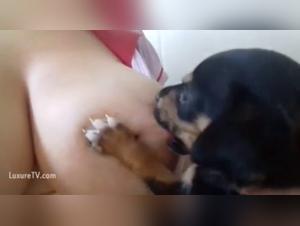 Breastfeeding a dog: a scene of extreme zoophilia