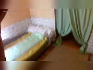 Blurred Lines: TikTok and Animated XXX