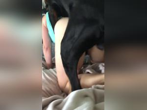 milk the milf with dog