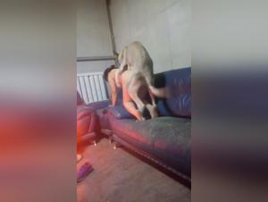 Authentic zoophilia videos - ArtofZoo