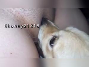 Bestiality sex video with a naughty dog