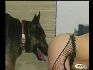 Woman and dog: a shocking relationship