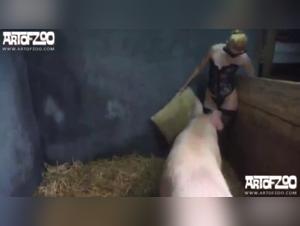 Bestiality with a Dog