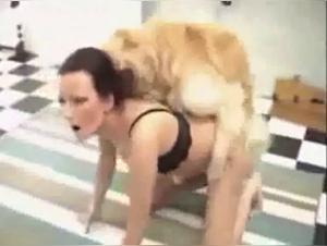 Bestiality sex video with a naughty dog
