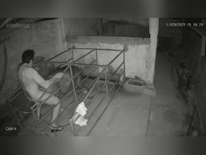 Woman and Pig: An Unusual Encounter