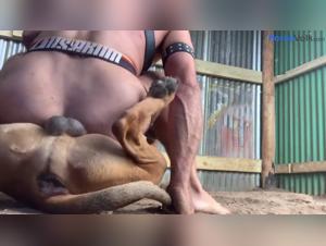 Bestiality Sex: A Video of Extreme Zoophilia