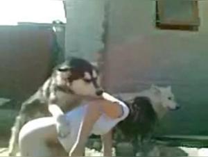 A bestial relationship between a woman and her dog