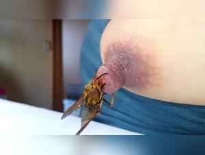 Bestial encounter with a horse and a woman