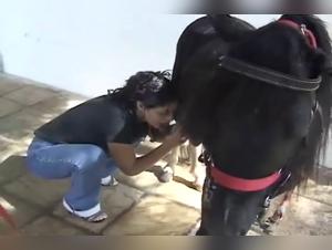 Bestiality videos featuring horses and dogs