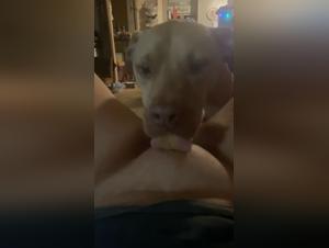 Rompiendo Barreras: Sexualidad Animal