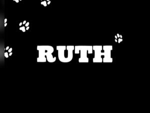 The lesbian cat that loves dog Ruth