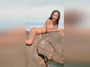 Perra fera lechosa, Pussy sexy de perro.