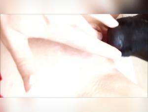 Bestialitat: Hund und Student