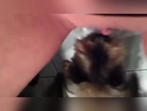 Video of Sex with a Dog