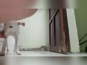 Rompiendo Tabues Zoologicos