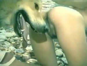 Vintage bestiality video: two young women and a dog