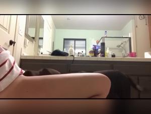 Submissive blonde gets fucked by her dog