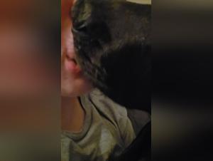 Unveiling Zooskool Dynamics