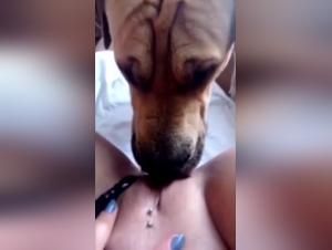 Mature woman and dog in intense bestiality video