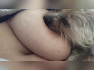 Bestiality: A Forbidden Encounter