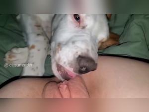 Extreme Bestiality: The Slut Sucks Her Dog