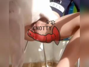 The Canine Sex Disease: How It Affects Relationships