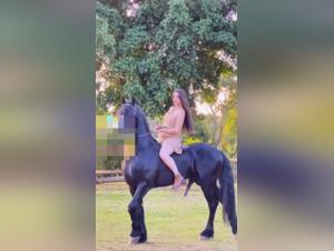 Tiktok girl and horse in hot bestiality video