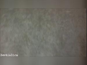 L'Enfer des Desirs Interdits