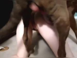 Submissive woman and dog in a zoophilia video