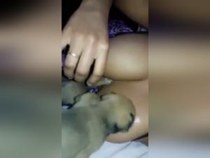 A woman and her dog: forbidden intimacy