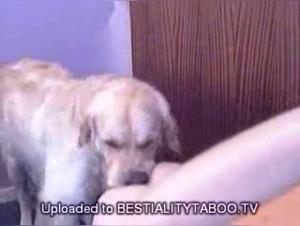 Forbidden Love: Man's Best Friend in a Whole New Light