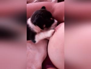 A Woman and Her Dog: An Intimate Encounter