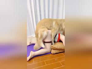 Descifrando el arte de la zoofilia