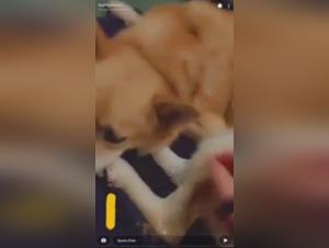 Snapchat Teen and Dog: An Exciting Sex Experience