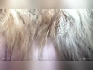 Bestiality: two women and a dog