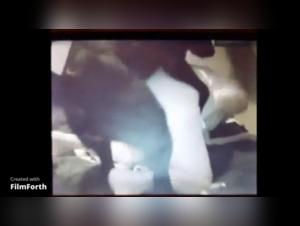 Sex Scene with a Dog - Amateur Video