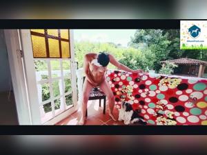 Hardcore bestiality with Alisonprod