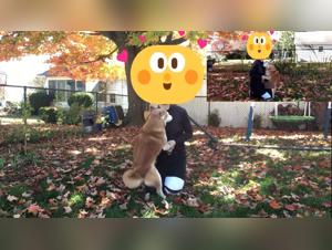 Sexuelle Tierbestialitat-Videos: Erleben Sie unsere Porno-Zoo und Zoophilen-Inhalte