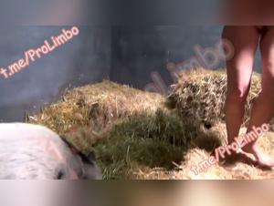 zoo videos with yasmin