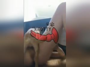 Una putas chupa a su perro pequeno en OnlyFan - pornografia zoofilica extremadamente salvaje