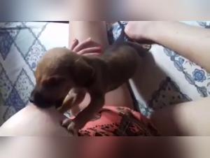 Woman Breastfeeding a Puppy - An Exciting Zoophilia Scene