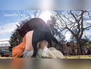 Unveiling the Dark Side: Dog Pornography Exposed