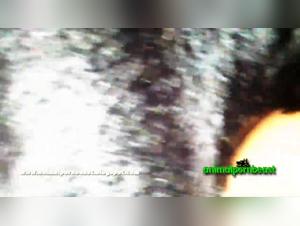 Russian Woman and Her Dog in Bestiality Video