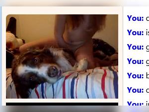Young Girl and Dog Webcam: A Hot Bestiality Video