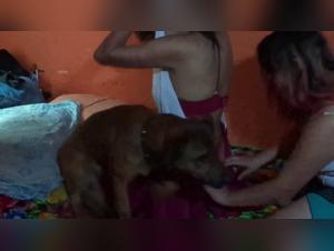 Gina and her bestial adventure