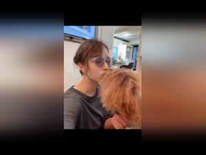 Moments of intense fun with dogs