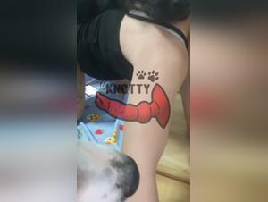 The Dog Sitter's Bestiality Secret